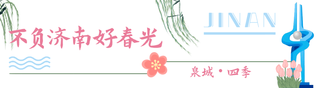 七彩鲜花（七彩鲜花网） 第1张