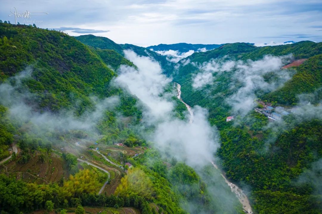 泰顺雅阳大峡谷图片