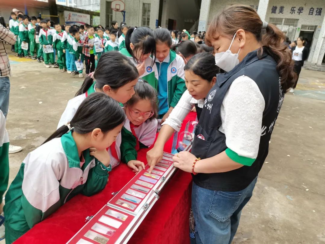 河西禁毒协会走进化州市大坡小学进行"校园禁毒宣传"主题活动_毒品