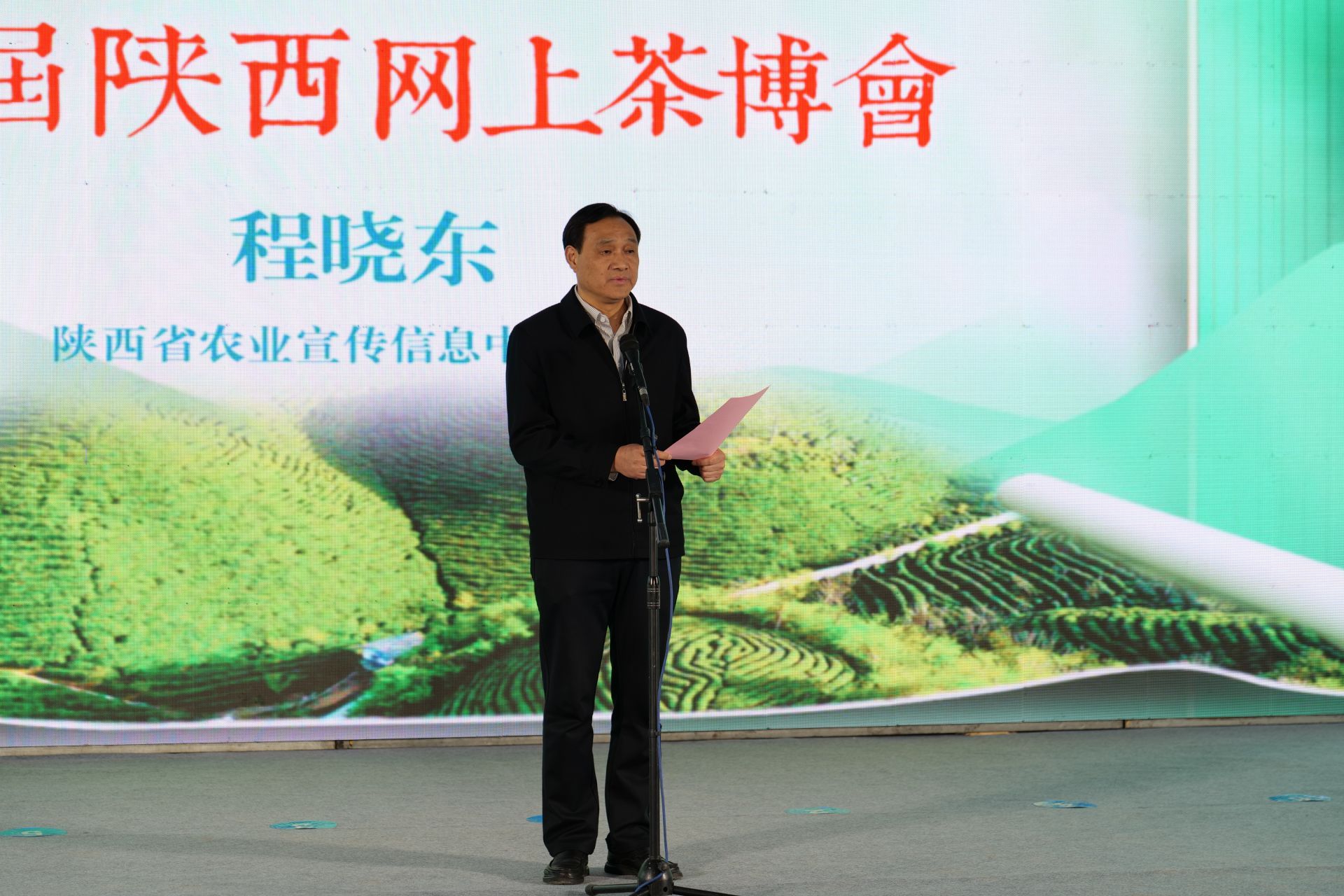 宣传部部长杨建发布勉县精品茶旅融合线路,勉县政府副县长