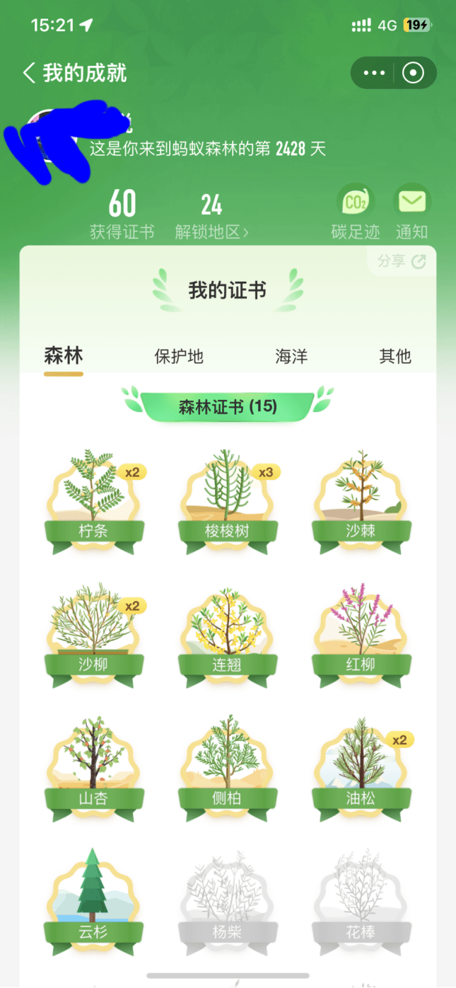 柠条花（柠条花的吃法和功效） 第4张