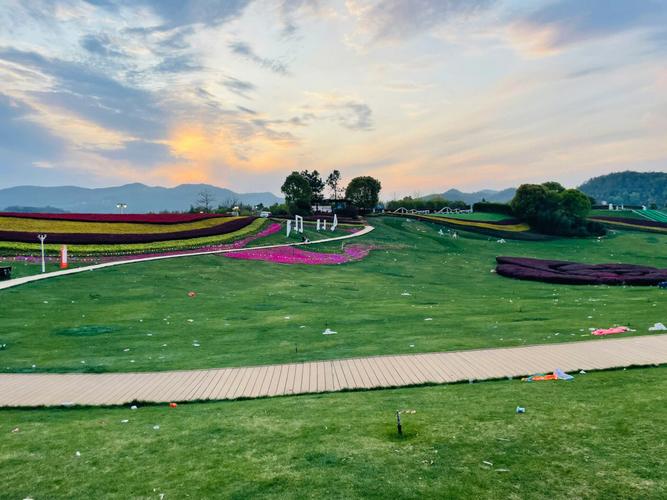 把海洋放进生活"鱼场主"——日照出游之春风十里乡村文旅创意园_发展