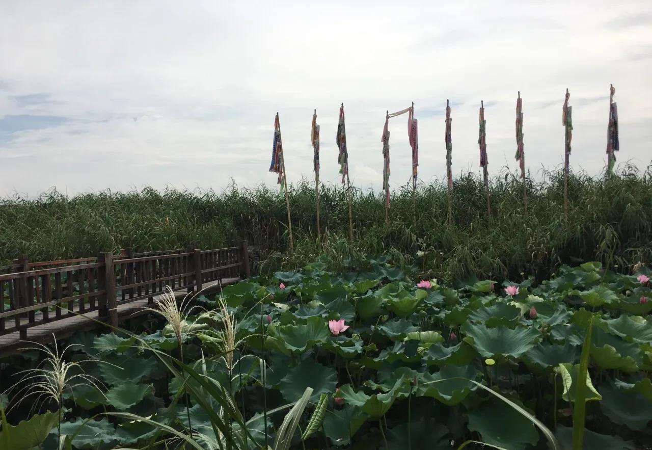 原创            浙江省湖州市下渚湖湿地风景区旅游攻略(下渚湖旅游)