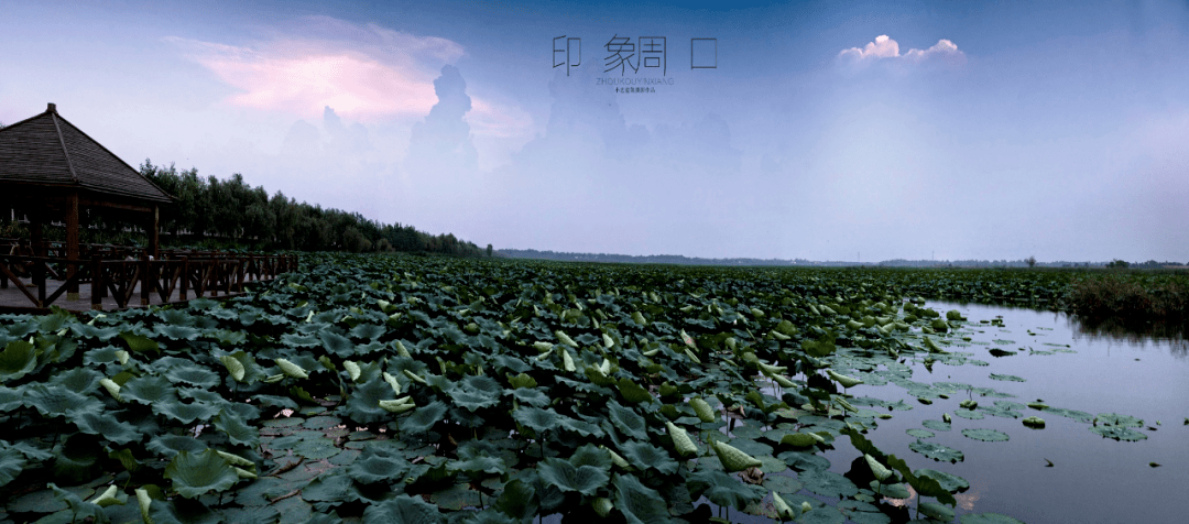 我的家乡:周口印象_伏羲_文化_文明