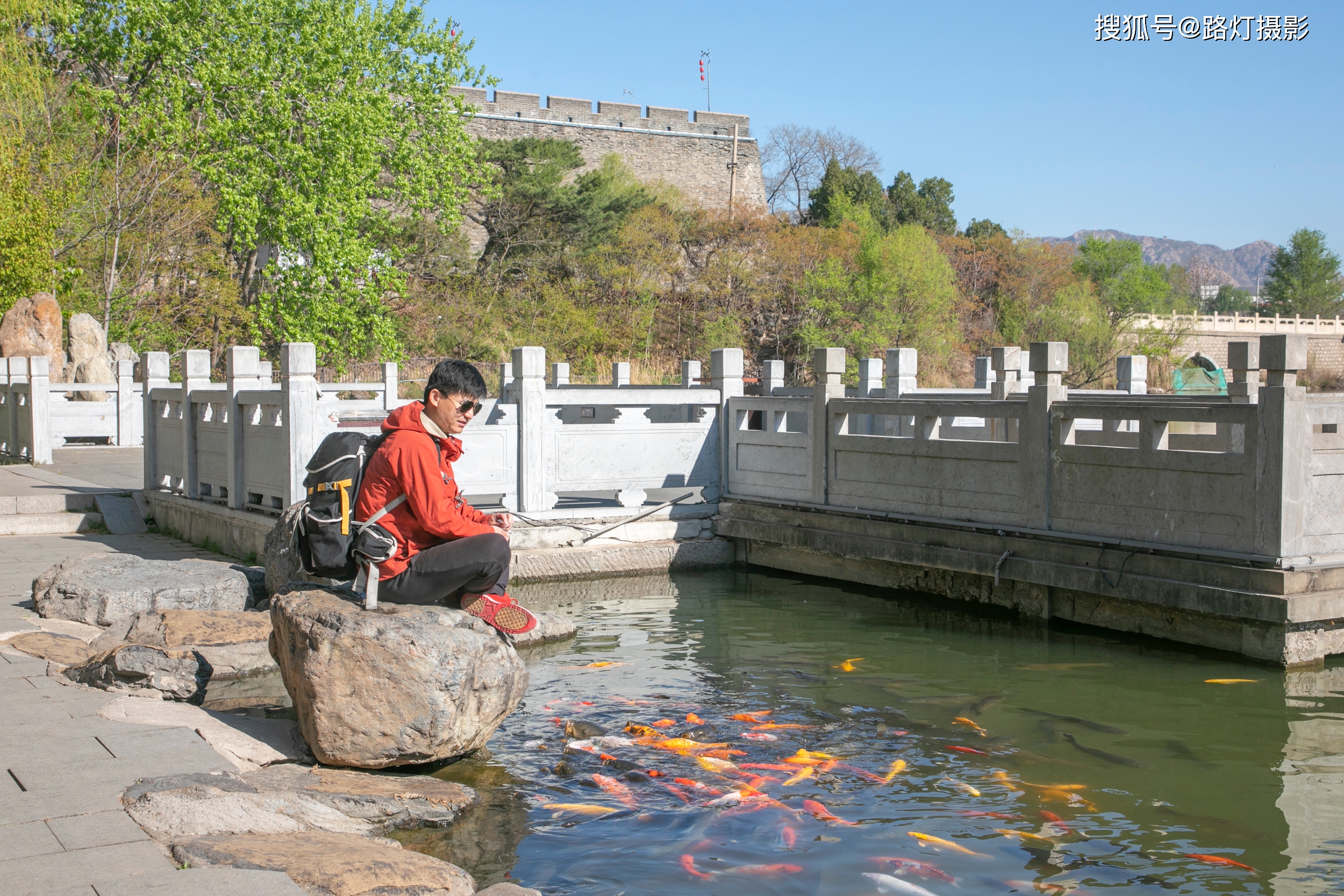 榆花（榆花图片大全大图简笔画） 第9张