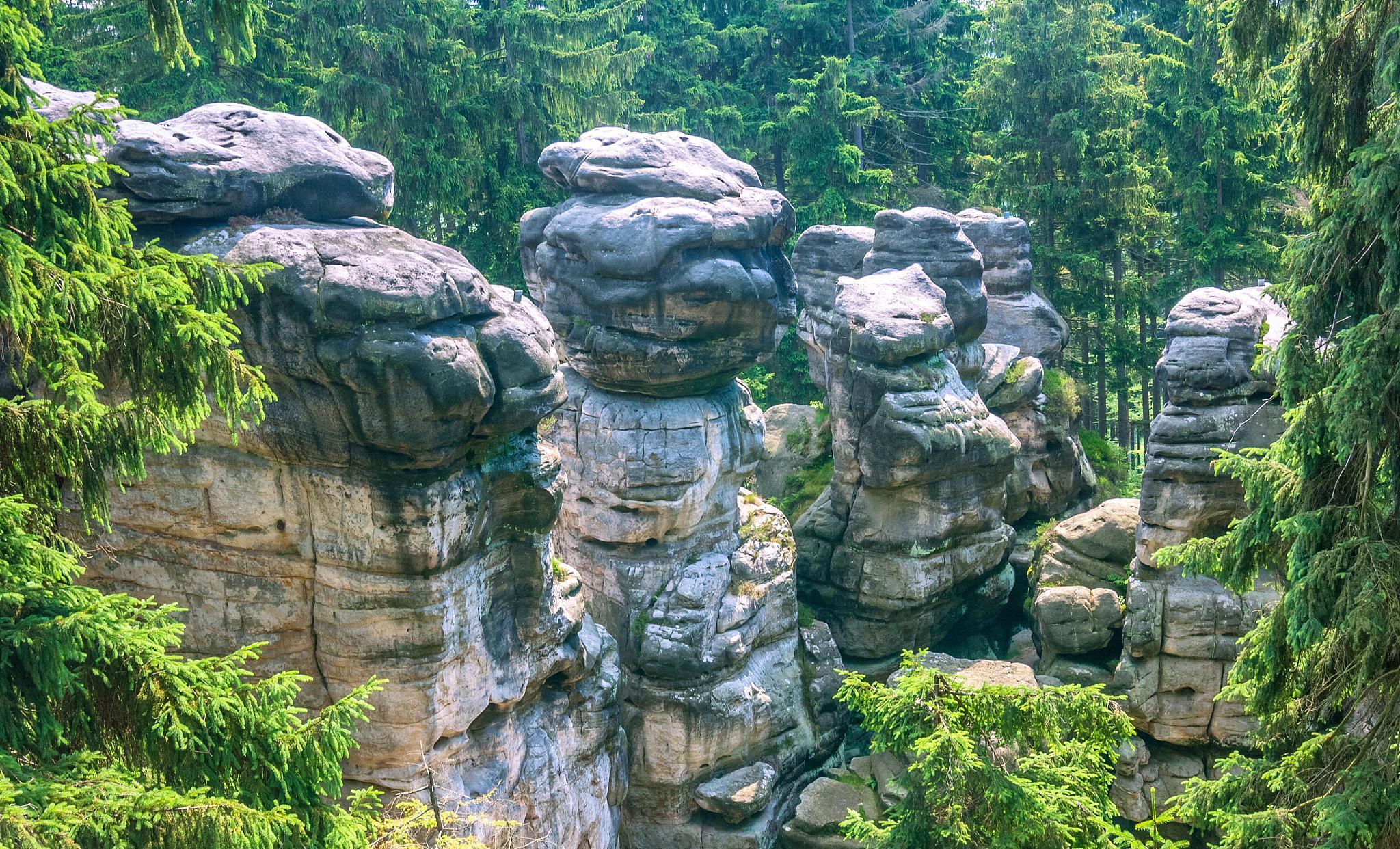 原创 宜宾旅游必去景点,宜宾有什么好玩的地方,宜宾五一去哪里玩