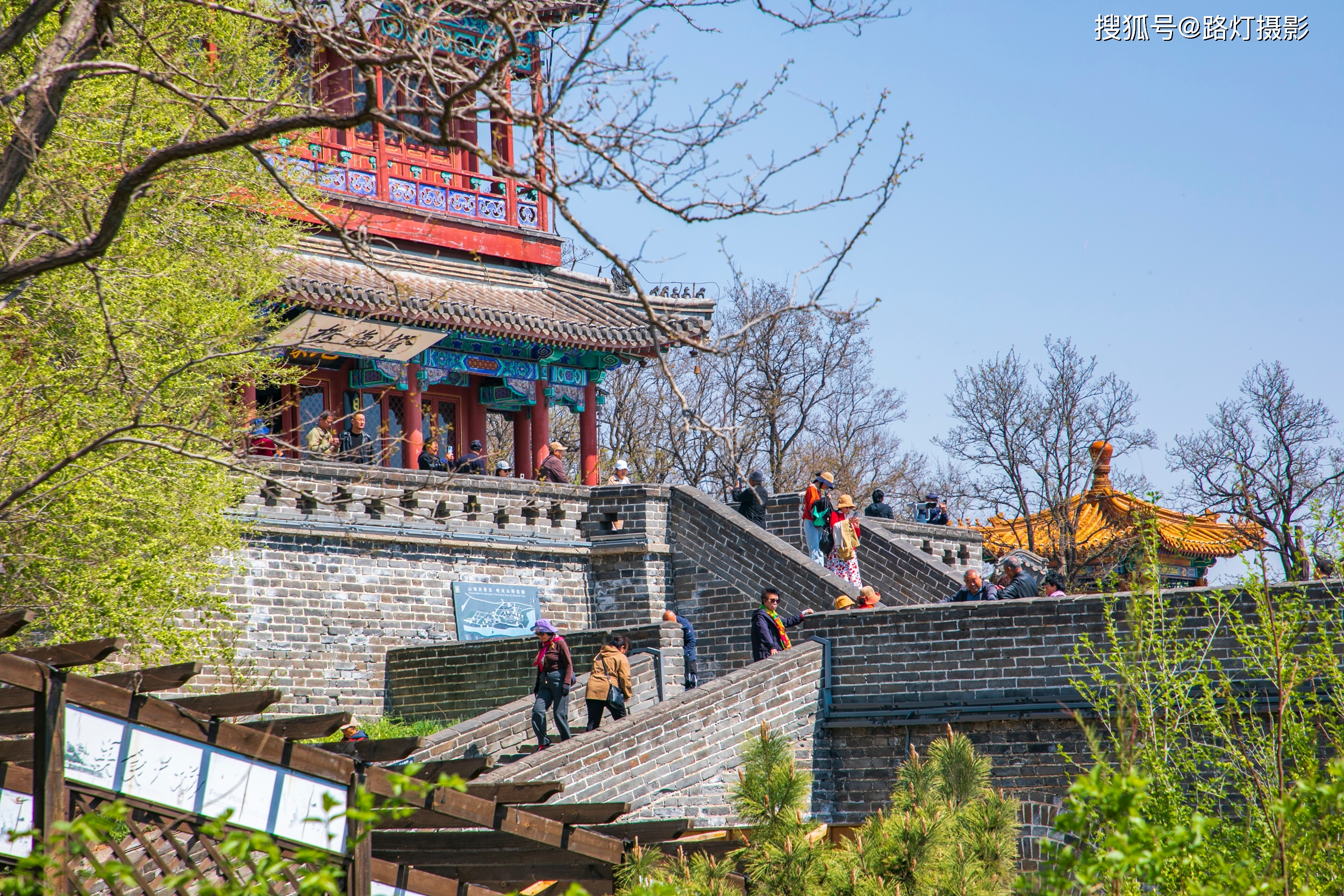 榆花（榆花图片大全大图简笔画） 第2张