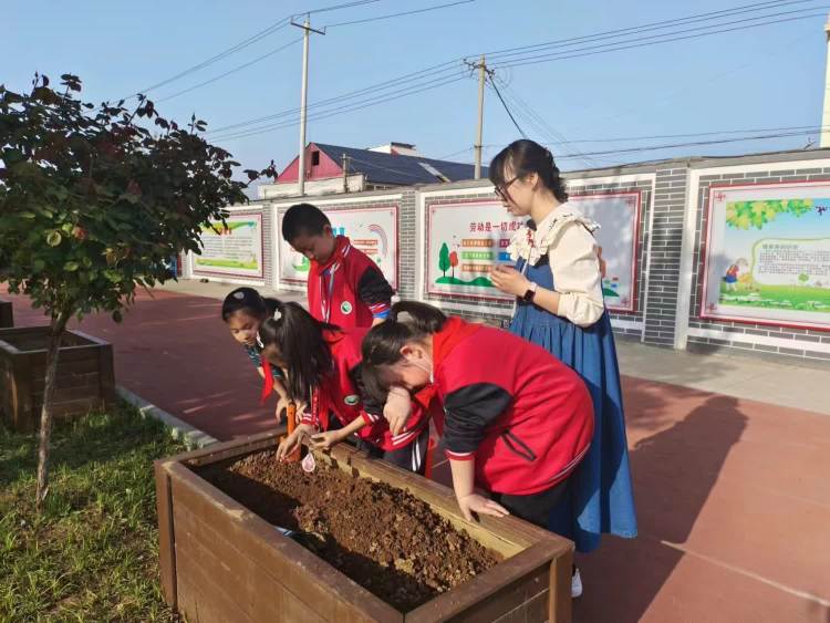 “劳动砺心智_实践促成长”—鹿泉横山小学劳动主题实践活动 图3