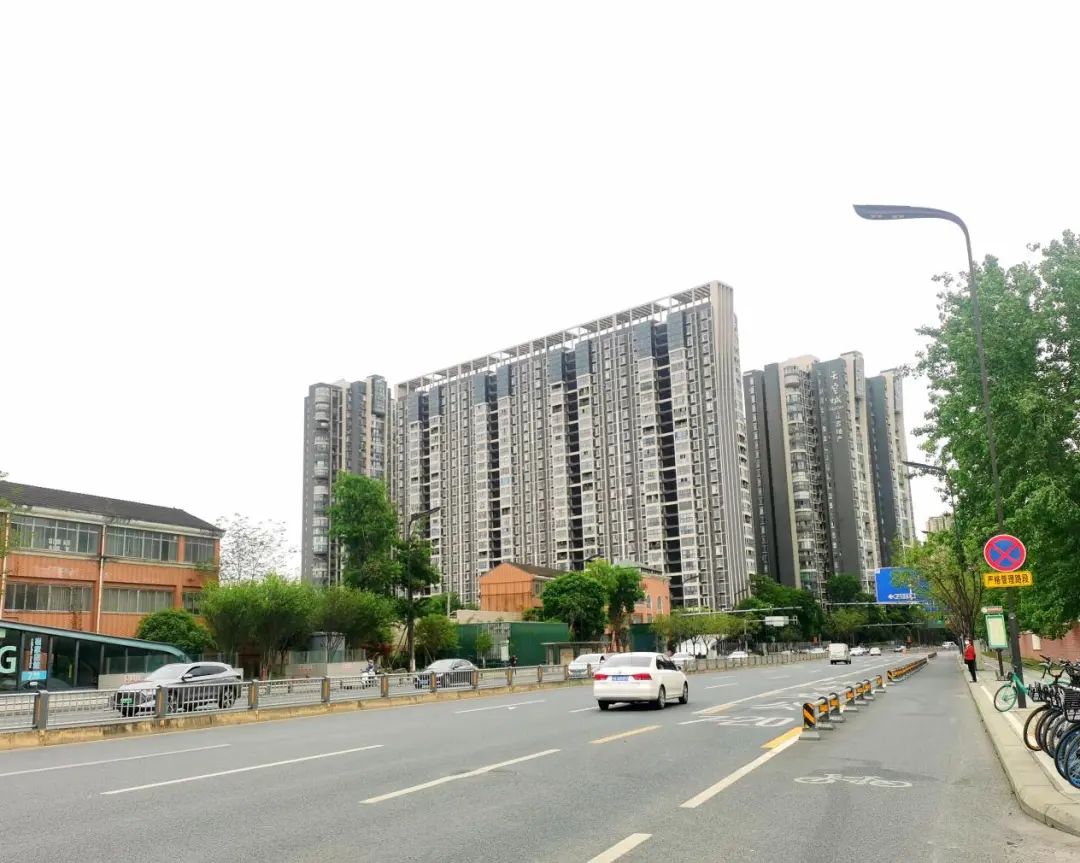 暂时没什么大型商业,但成华奥园广场以及包括鲁能城等成熟的社区底商