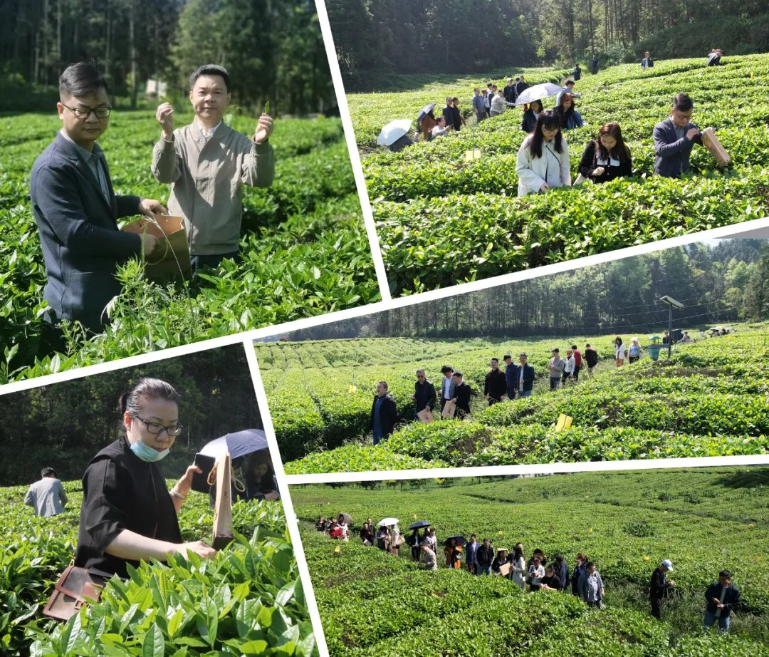 理想华莱丨凝心聚力 奋进新征程 行业媒体见面交流会顺利举行_发展