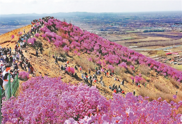 "五一"假期,龙江旅游"人潮涌动"!_景区_游客_哈尔滨
