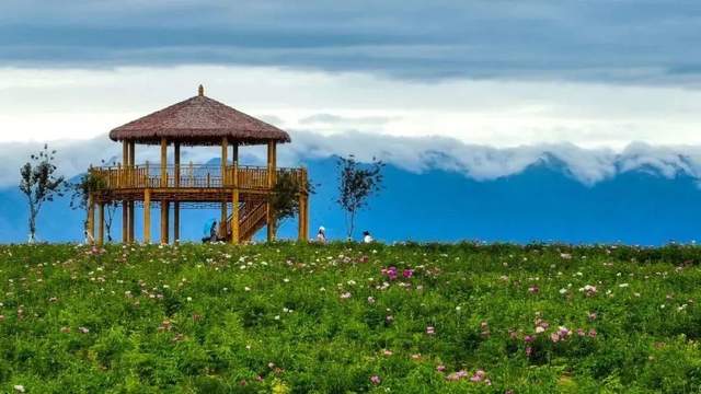 野生原度假村位于滹沱河畔,拥有千亩湖面,万壑松林,绿色植物覆盖面积