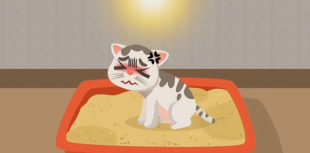 出频繁上厕所,烦躁,撒尿费力,会尿血甚至因为疼痛发出奇怪的嚎叫那么