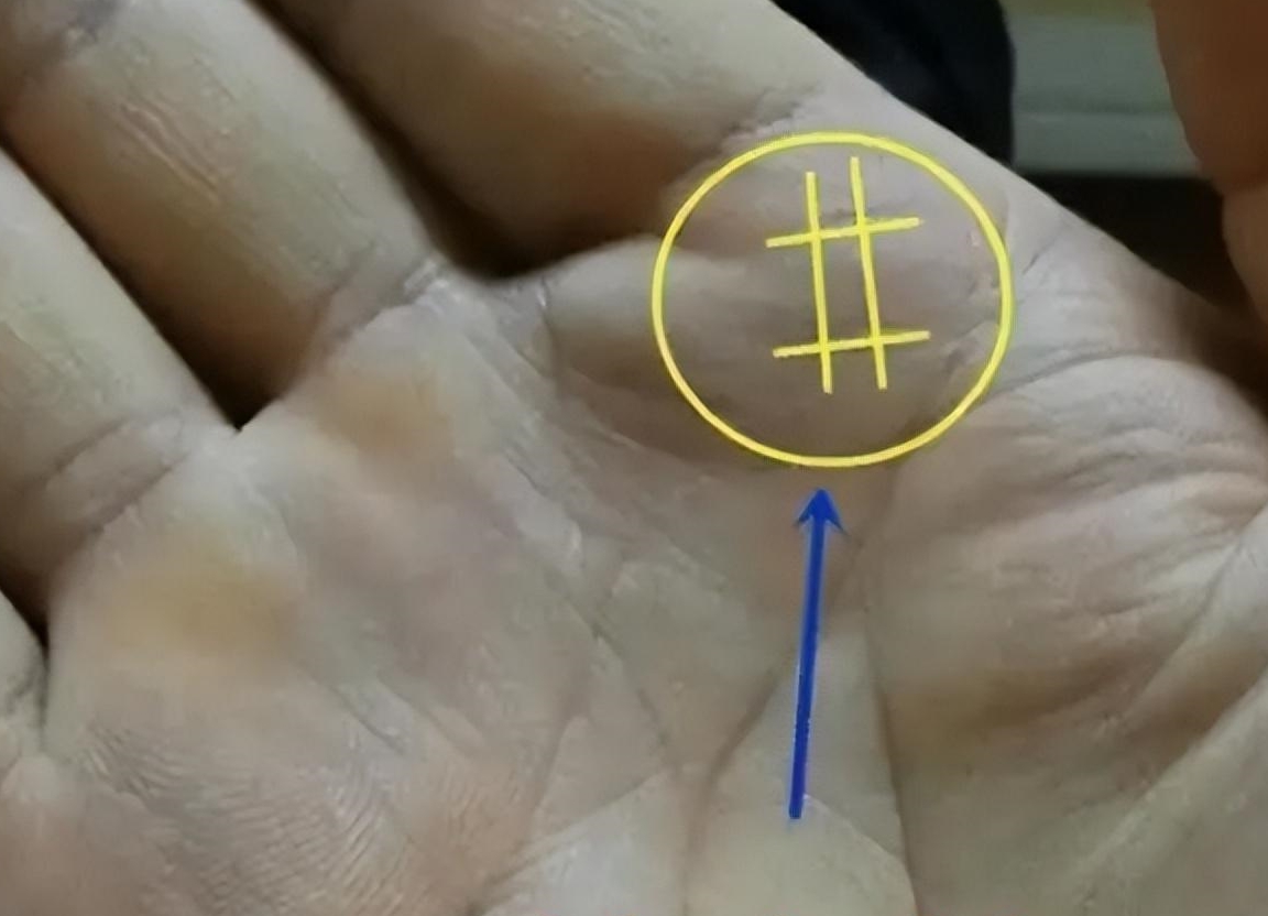 算命先生说:"井字手中纹,横财滚进门",你的手上有吗?_生活_俗语_事业