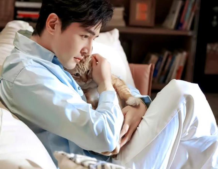 以往被催婚的时候,都还有着胡歌给自己垫底,现在这人家胡歌连孩子都有