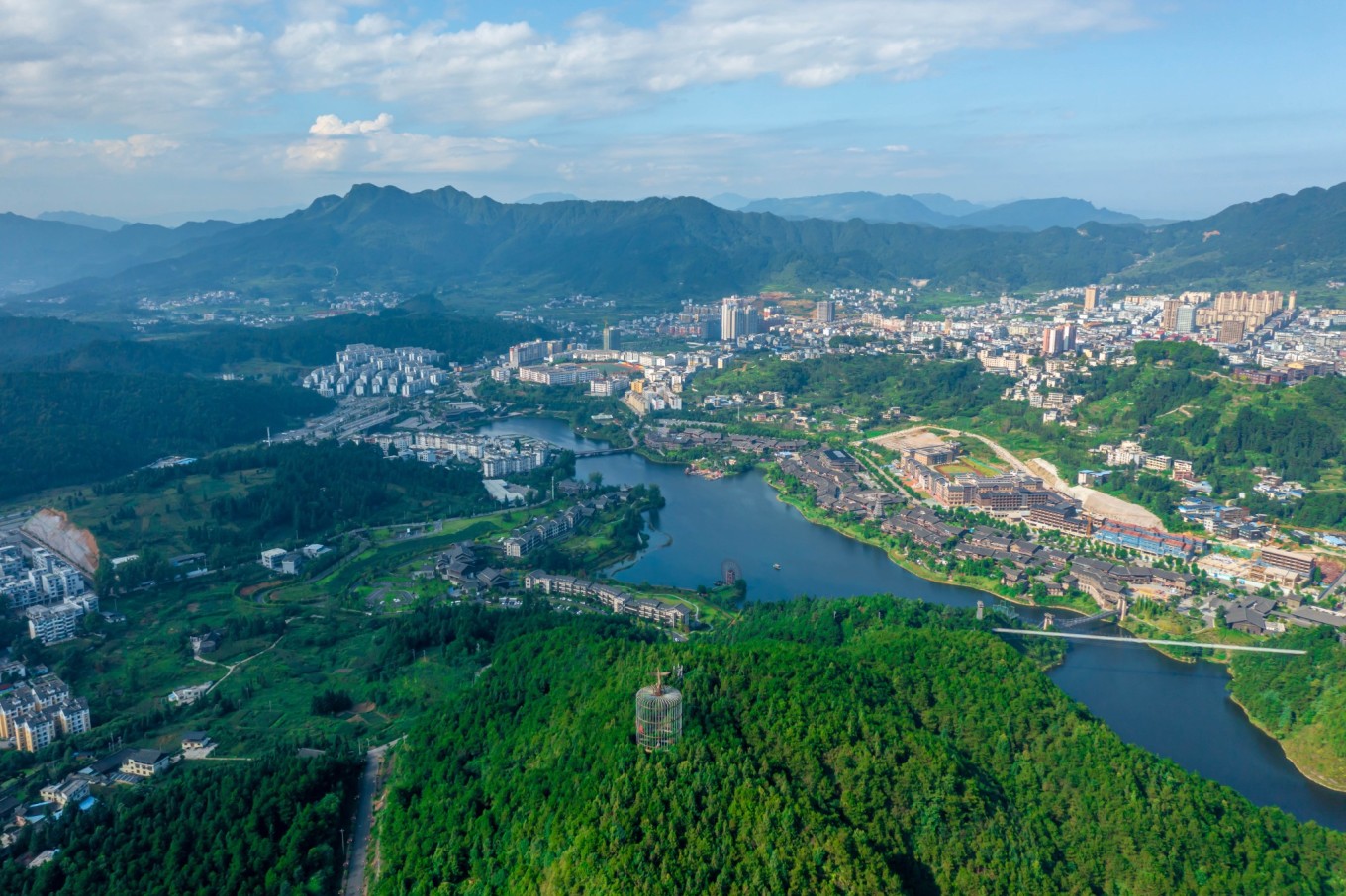 杜鹃花（夏季杜鹃花怎么养护和浇水） 第7张