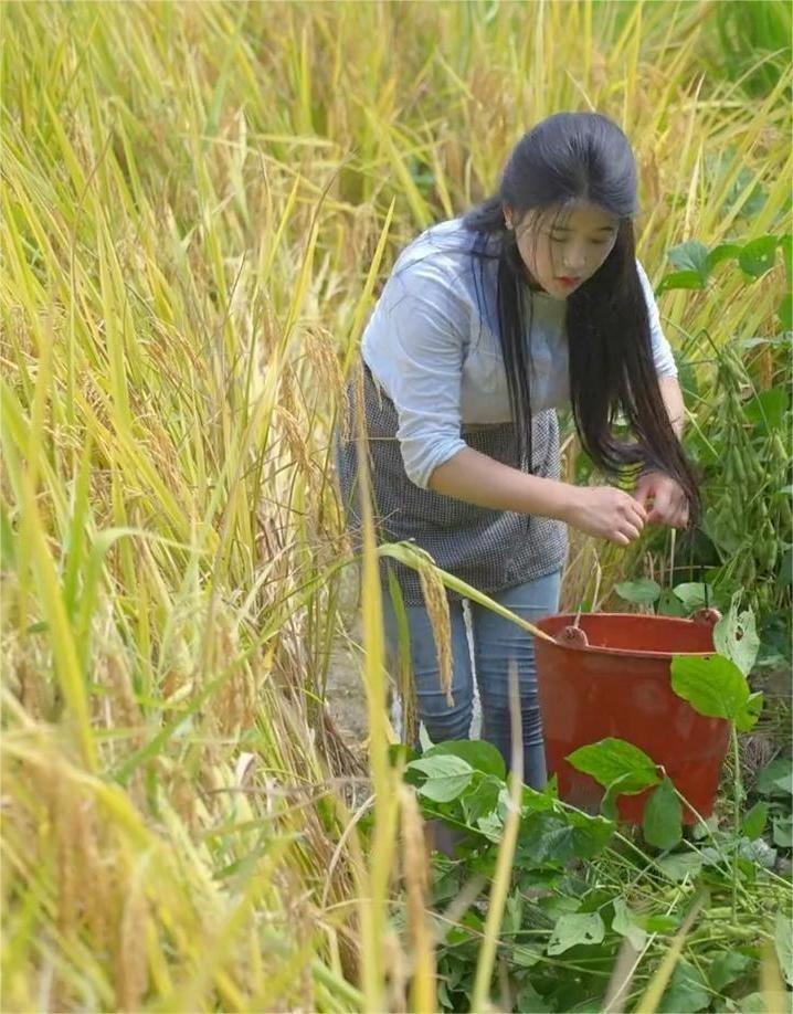 微胖天花板阙佩琪,放弃百万年薪回家创业,孝心报答养父母遭质疑_视频