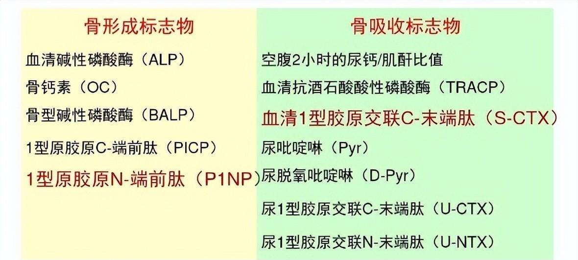 骨代谢标志物5项检测图片