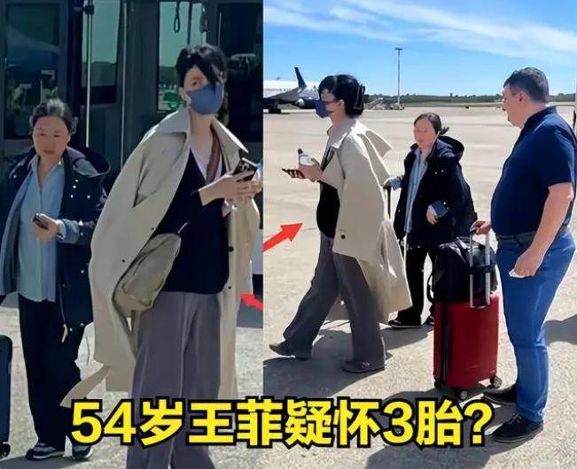 便宜!王菲生三胎是真的吗"怀孕的周"-第1张图片-伊卡博客