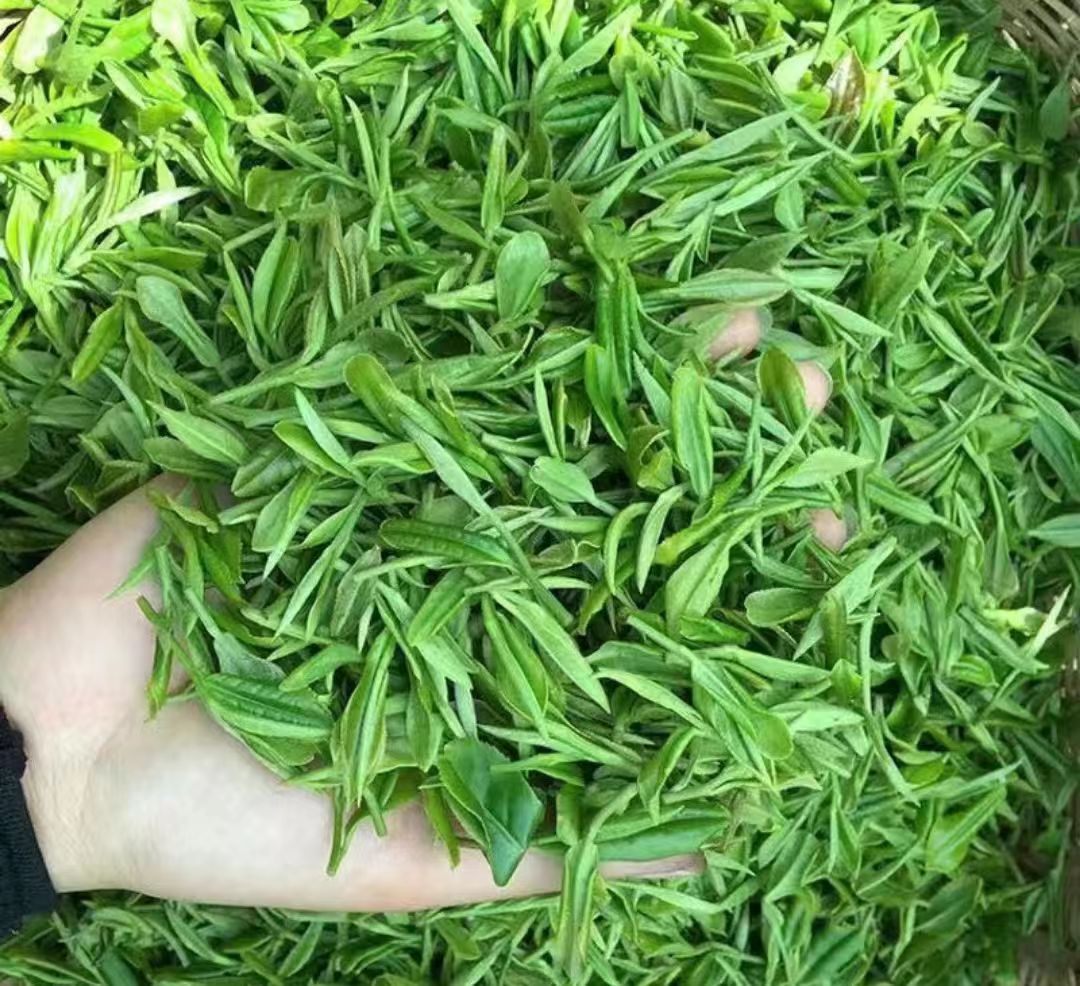 茶叶_中国_古代