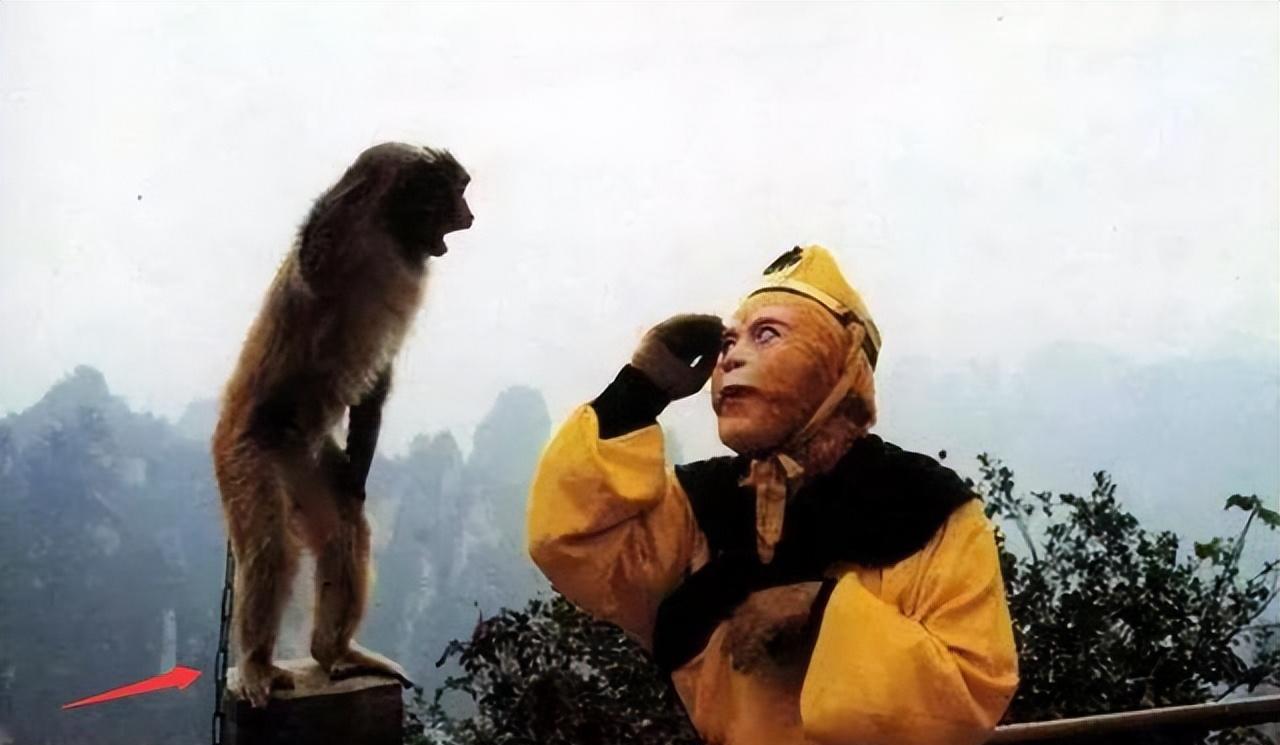 原来,"孙悟空"对六小龄童的反噬,在"取经归来"后才悄然开始_杨洁_父亲