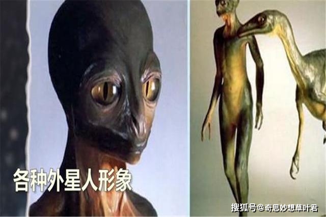 恰好证实登月的真假_外星人_保罗赫勒_加拿大