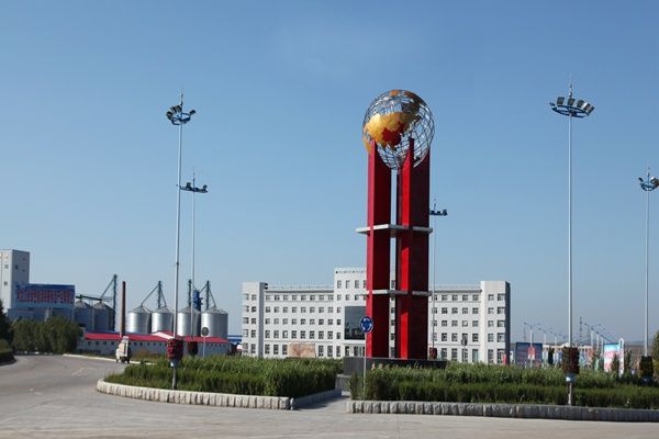 桦南县所属事业单位公开招聘高校毕业生公告_岗位_人员_审查