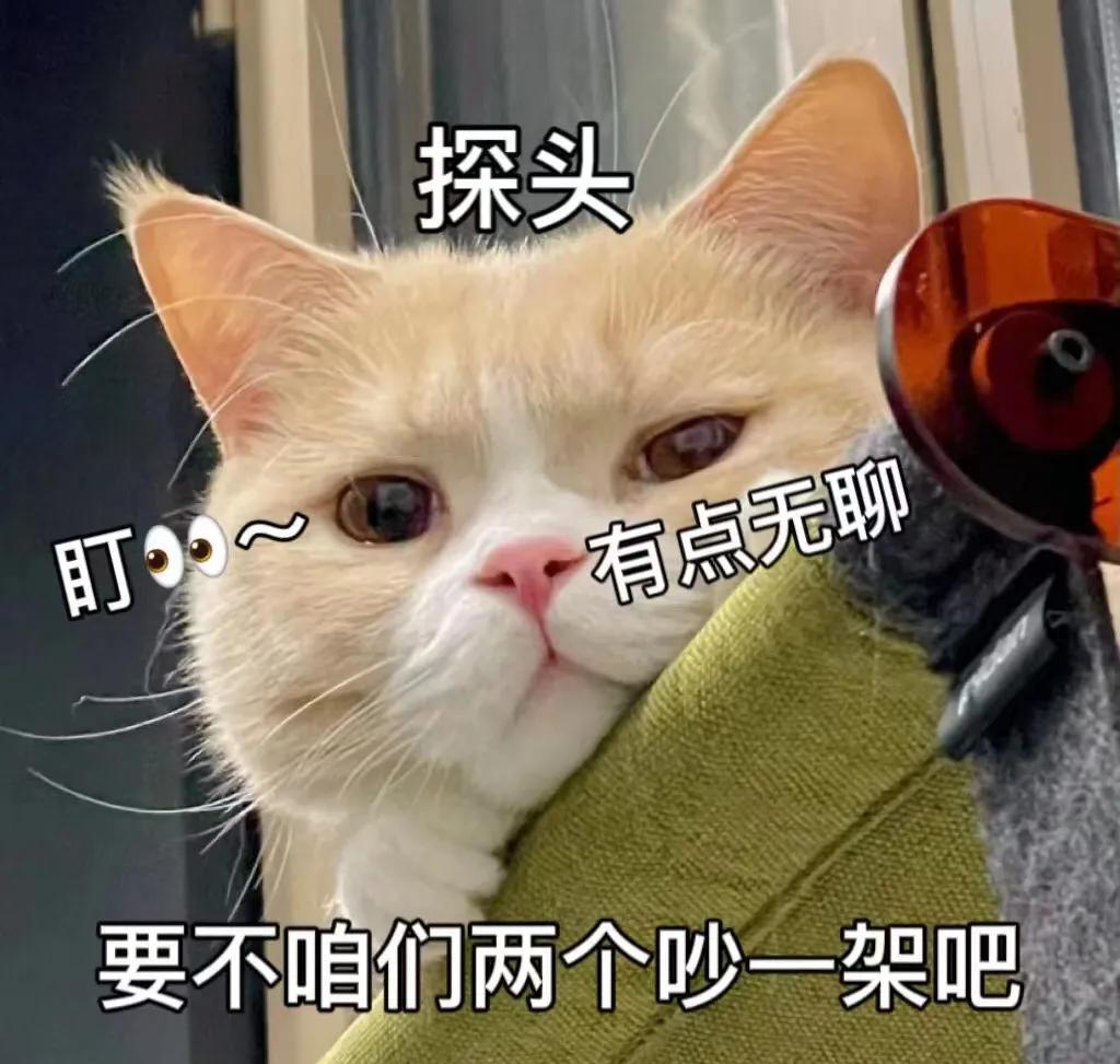 猫咪表情包|成为一个又酷又温柔的人_侵权_人身_苦难