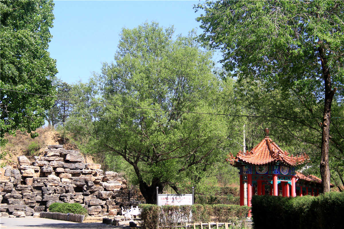 北京墓地外地人可以买吗？需要什么购买条件？