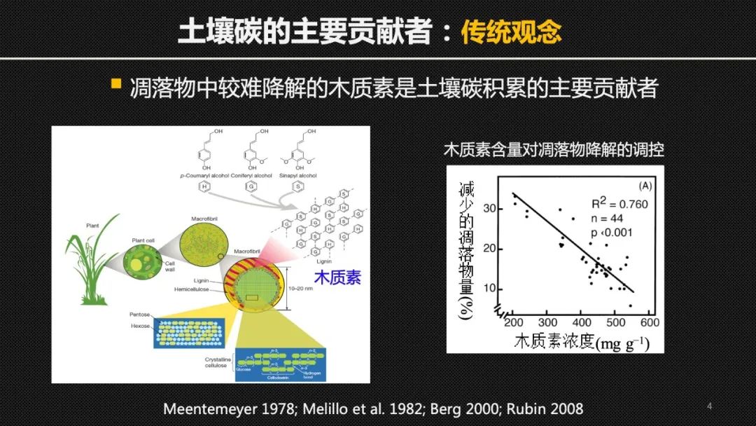 【cc讲坛】冯晓娟 :土壤碳封存——我们脚下的碳中和方案_生物_木质素