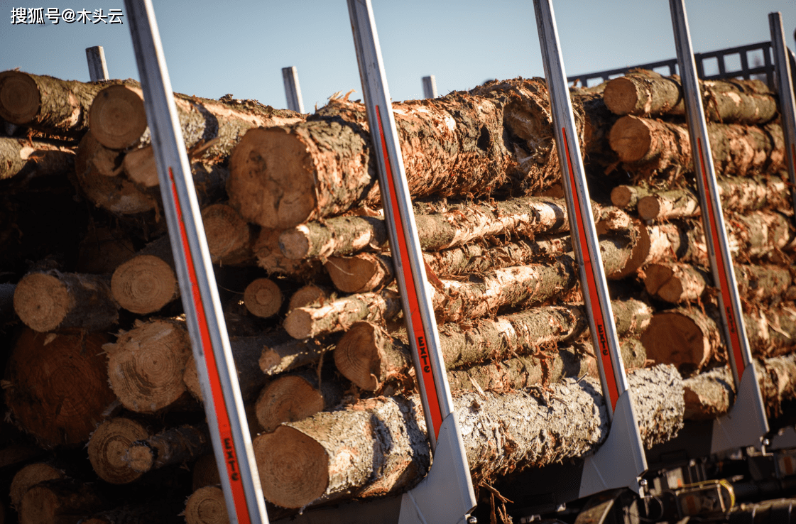 木材短缺,澳大利亚从木材出口大国转成全球第19大木材进口国_建筑_的