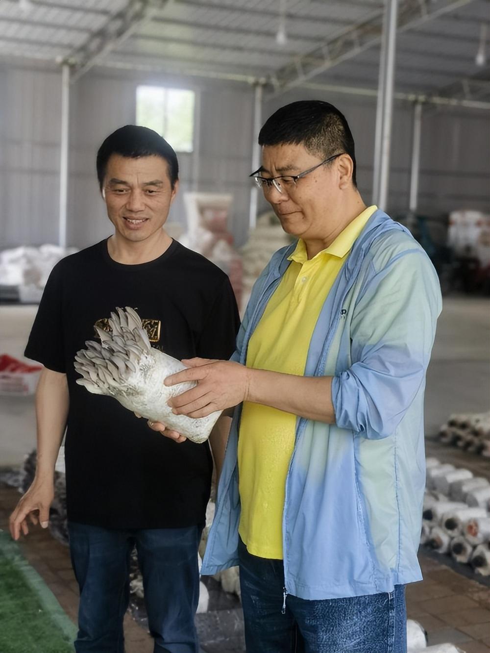 武汉城市圈商会赴华菇食用菌调研考察 (图2)