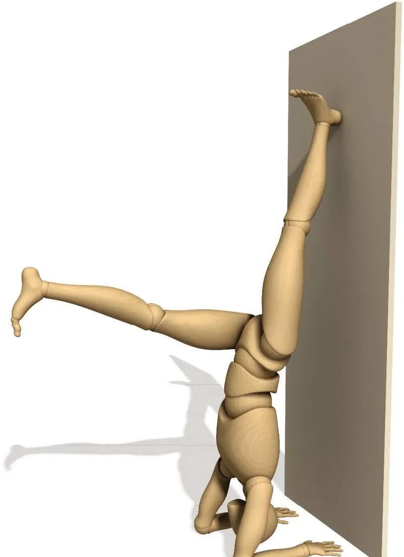 瑜伽解剖体式-孔雀起舞式_肌肉_step_肩胛骨