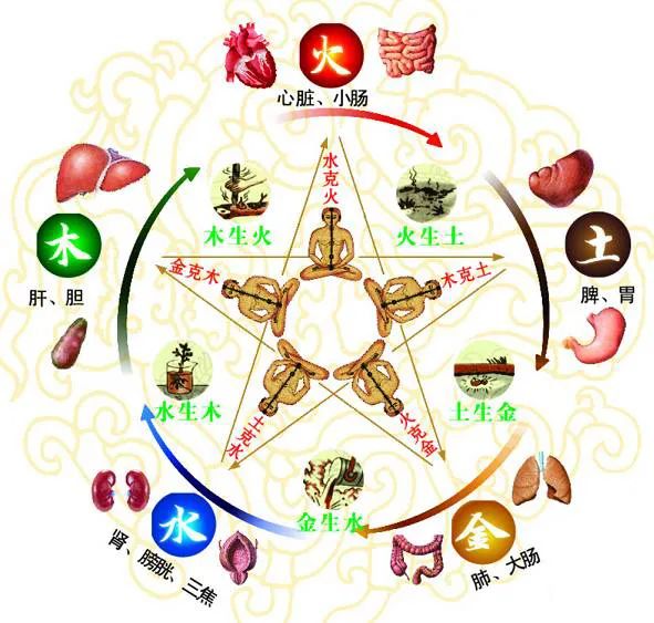 敬葛堂:黄帝内经之"五脏藏神"说_活动_精神_功能