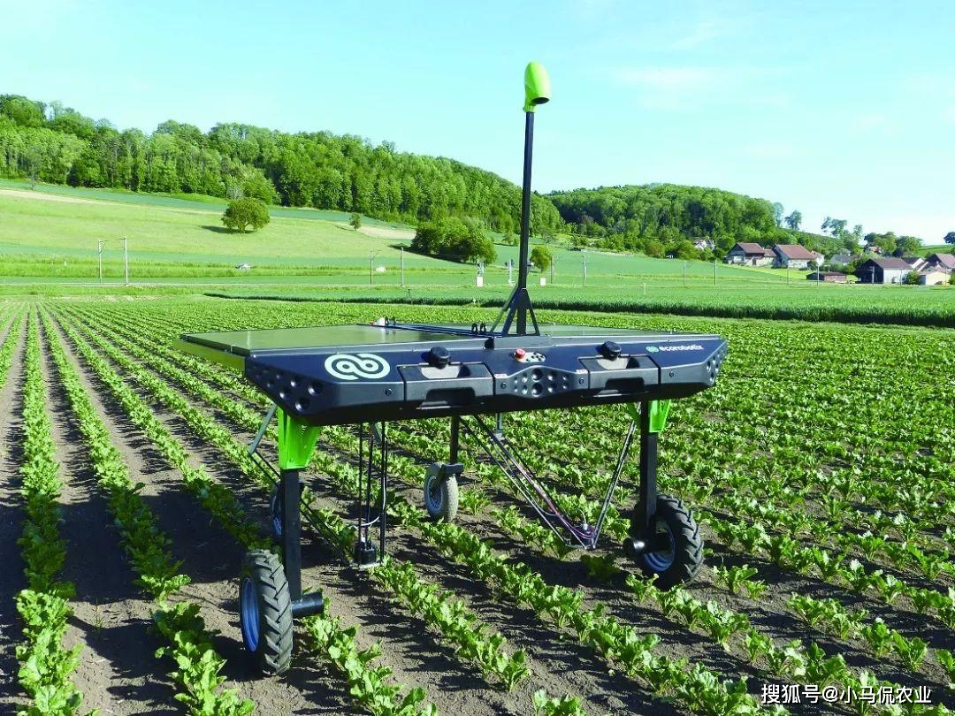 5公顷农田,24小时作业,减少70%除草剂_机器人_农业_生产