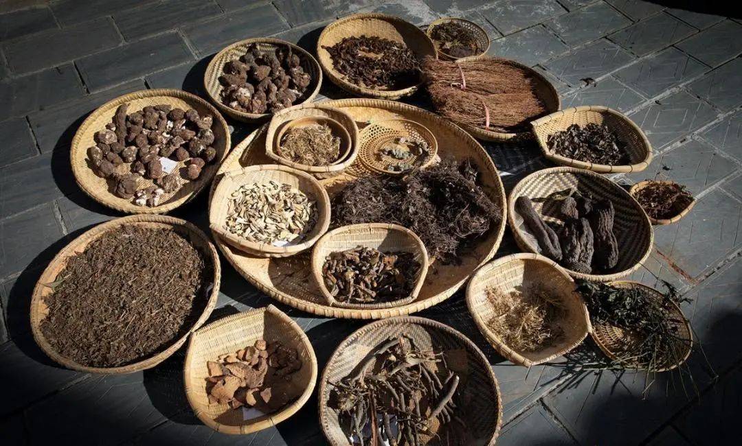 万胜苗颜堂丨苗药养生与您健康同行_加工_苗医_药物