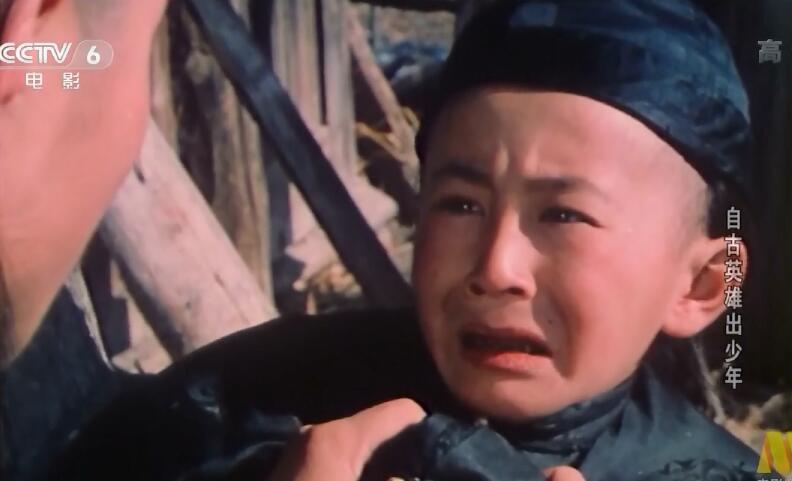 《自古英雄出少年》,八十年代红极一时,为何主演一个都没火_大丈夫