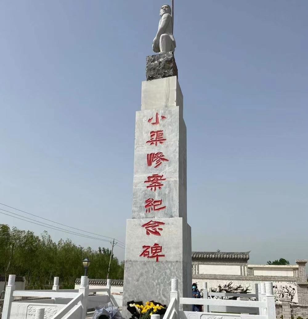 张喜迎一行走进赵堤镇:水墨描绘乡村振兴新画卷_小渠_建设_小镇