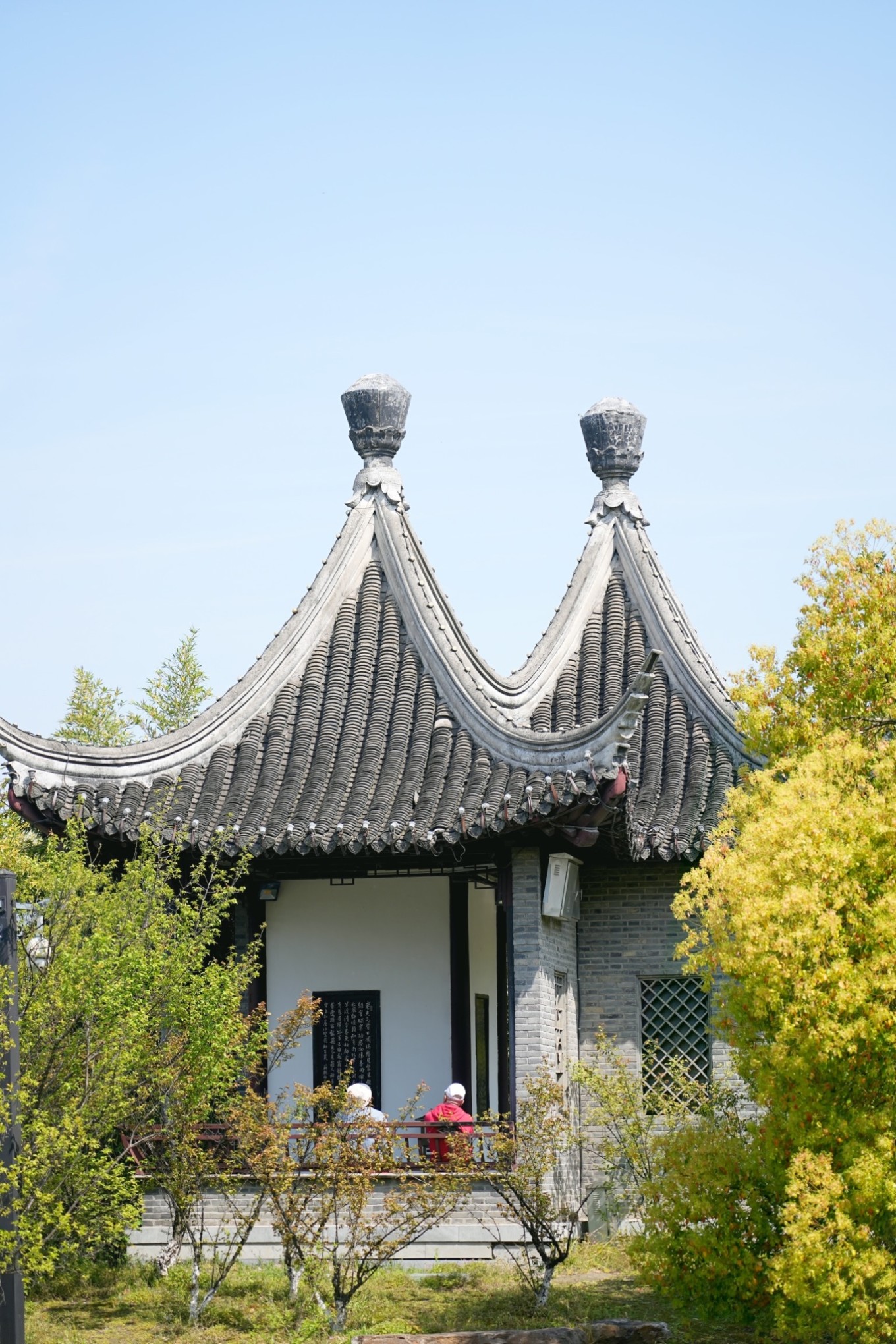 钱兔似锦三访泰州_凤城_桃园_桃花