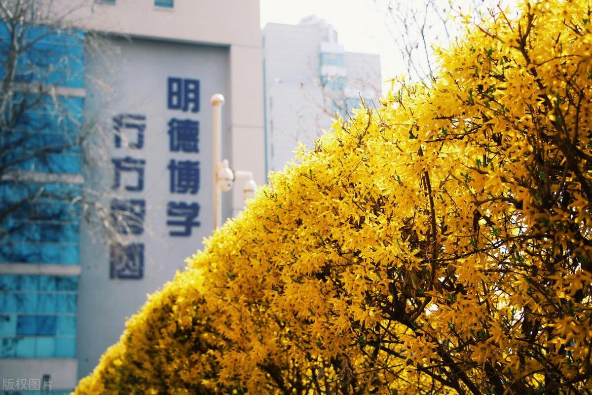 药学专业学什么_药学_药学大专几年可以考执业药师