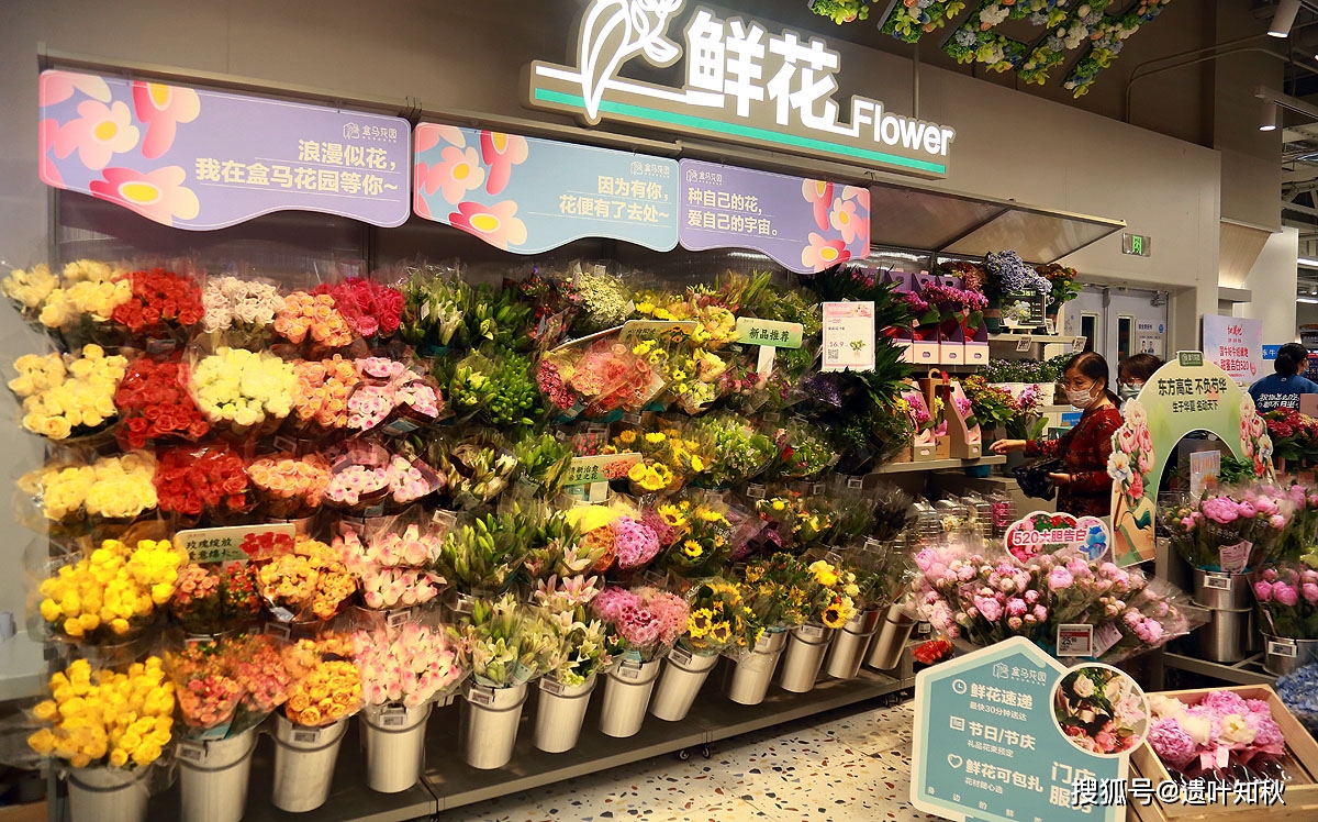 盒马新店开业5000枝芍药爬满墙 520大胆告白与花香撞了满怀_鲜花_北京