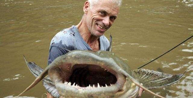 鲶鱼_牙齿_体型