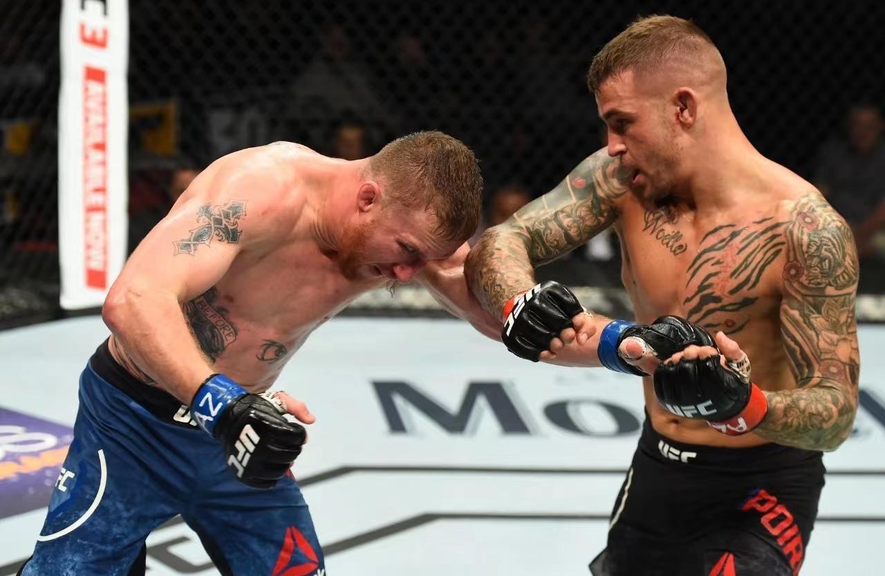 佩雷拉_布拉乔维奇_对阵