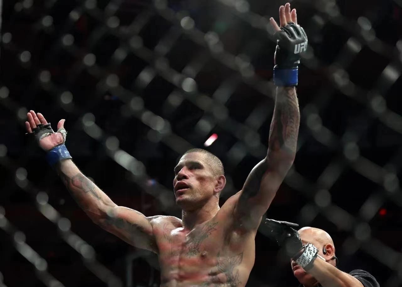 只要佩雷拉能够在ufc291联合主赛当拿下前冠军布拉乔维奇,那么极有