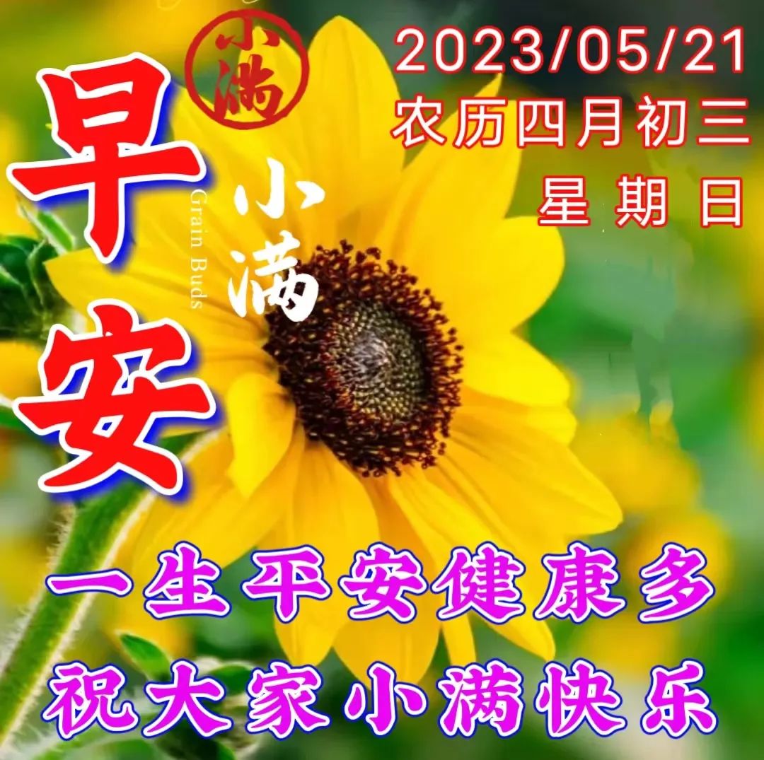2023年5月21日小满早上好,周日小满节气早安祝福图片带字带问候语录