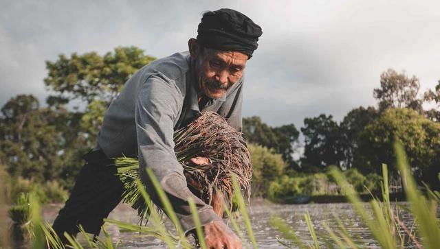 《每天懂一点人情世故》：锋芒太露，终究会吃亏的（每天懂一点人情世故 小说）
