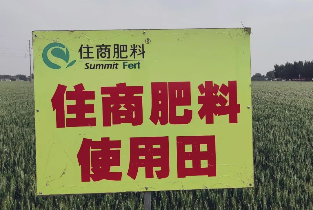 住商肥料"脲醛 " 减肥增效中国行 ——不会选肥?种植大户给你出招