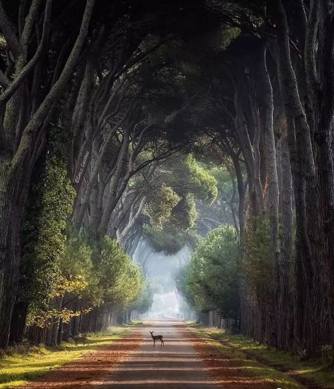 墨言教育摄影技能分享||优秀摄影作品欣赏——绝美圣境_对比_画面