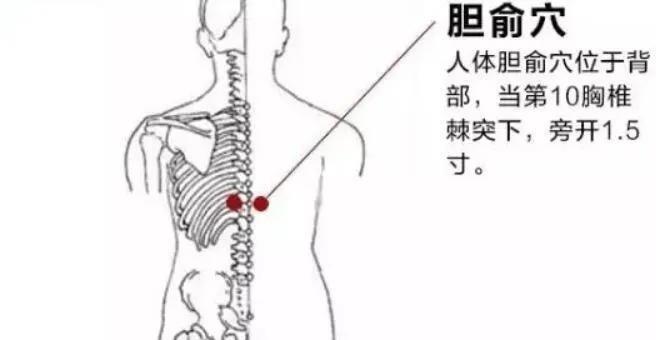 腋下胆经的准确位置图图片