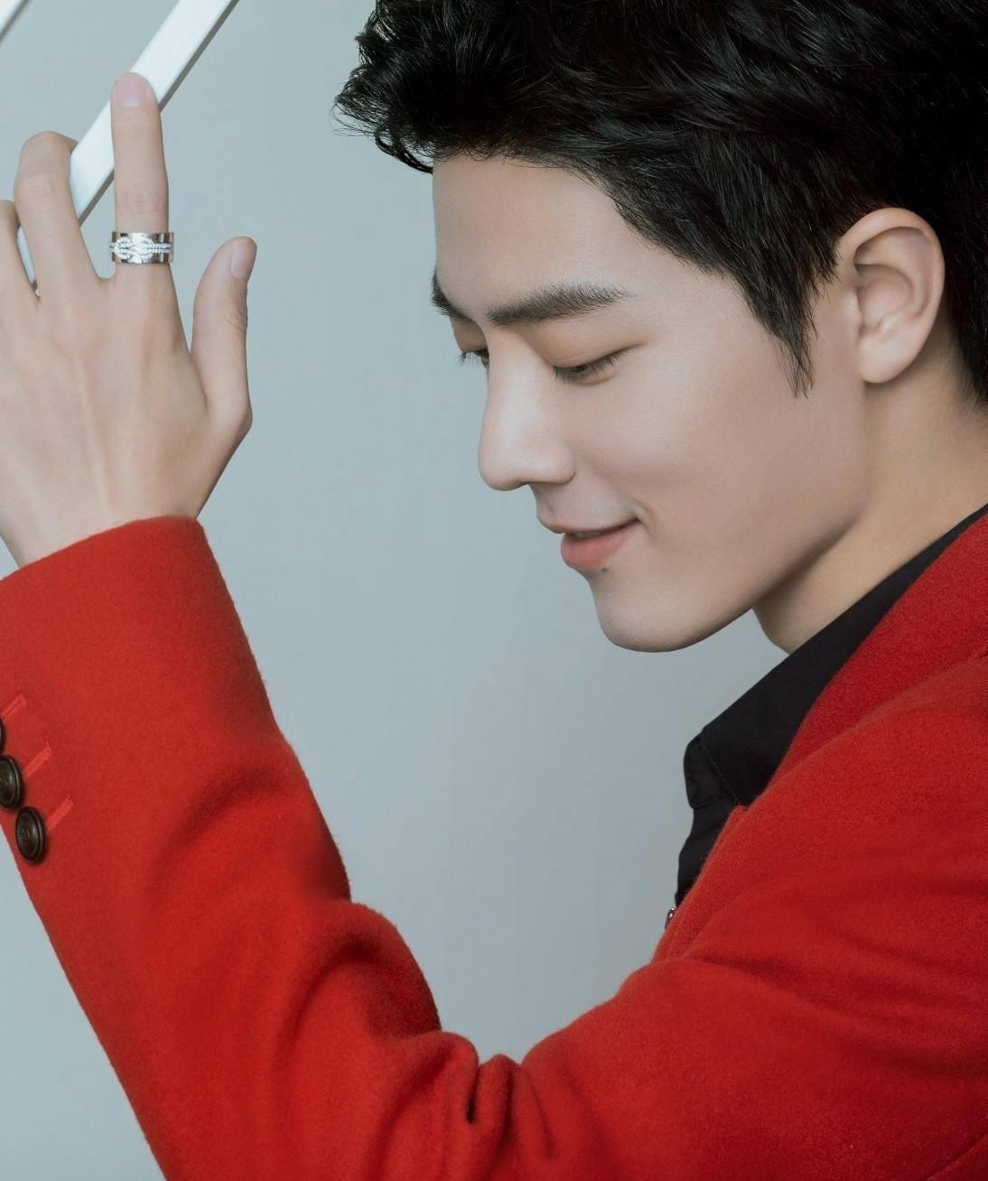 经历了风雨,肖战在牛年终于跨过了他的事业瓶颈期.